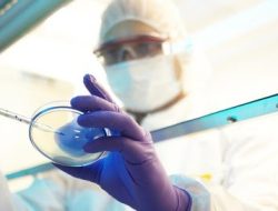 Covid-19 di Singapura Melonjak,Tembus 14.000 Pada Bulan Mei 2025